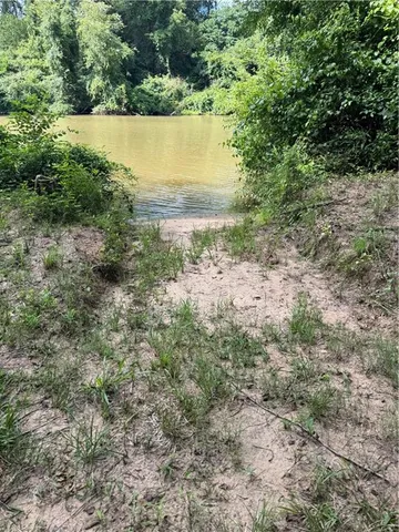 a view of a lake with large trees