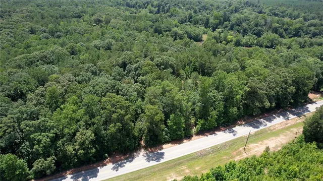 a view of path along with trees