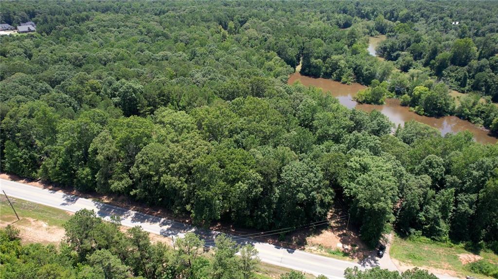 16653 Highway 36 Covington, GA 30014 - Photo 32 of 54 a view of a forest with a yard