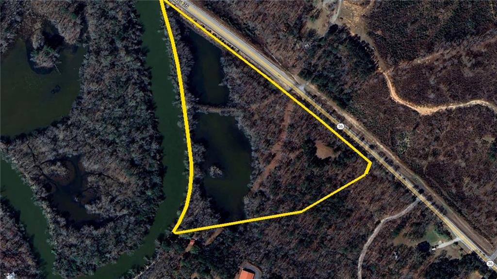 16653 Highway 36 Covington, GA 30014 - Photo 35 of 54 a view of path along with trees