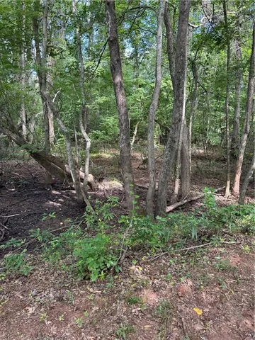 a view of a yard with a trees