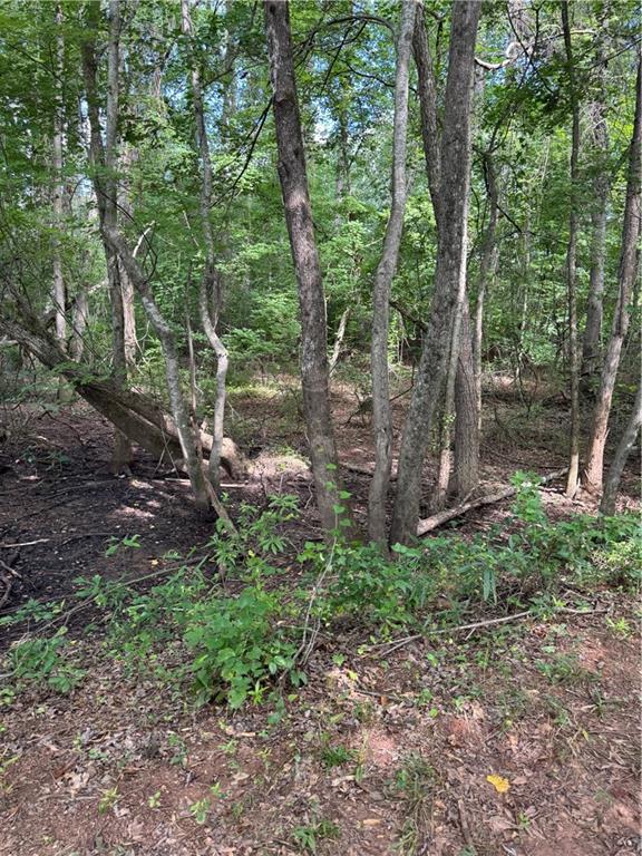 16653 Highway 36 Covington, GA 30014 - Photo 39 of 54 a backyard of a house with lots of green space