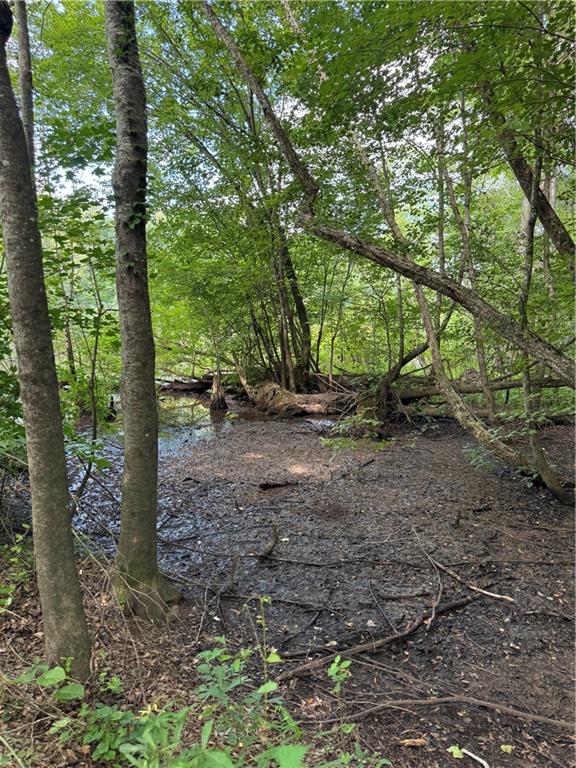 16653 Highway 36 Covington, GA 30014 - Photo 40 of 54 a view of a forest filled with trees