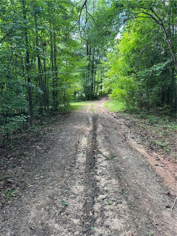 16653 Highway 36 Covington, GA 30014 - Photo 41 of 54 a view of a yard with a tree