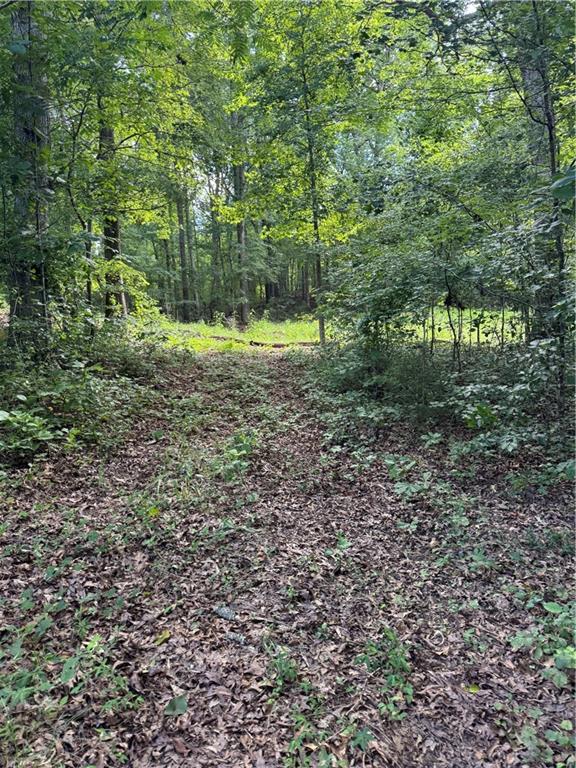16653 Highway 36 Covington, GA 30014 - Photo 42 of 54 a view of a yard with a trees