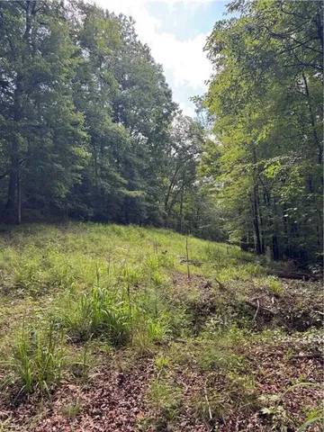 a view of a field with trees in the background