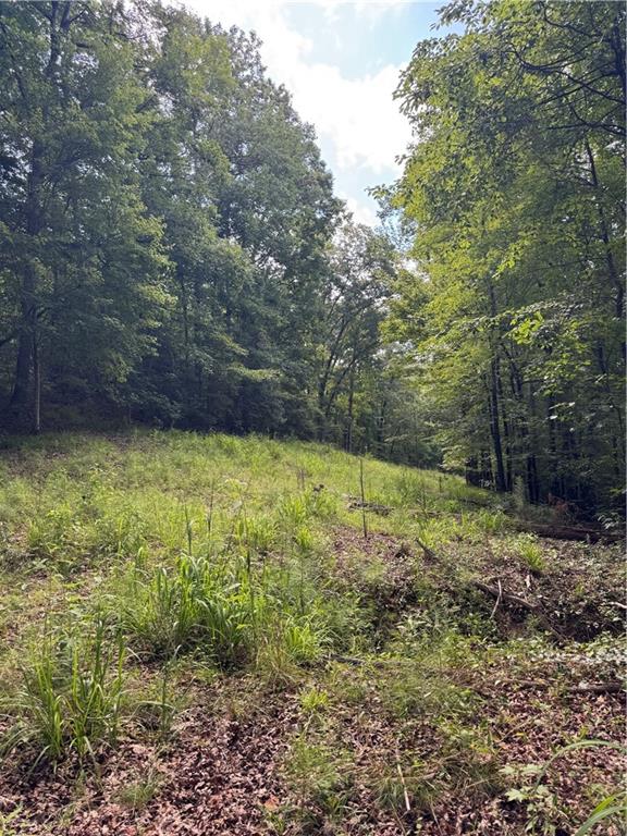 16653 Highway 36 Covington, GA 30014 - Photo 43 of 54 a view of a yard with a trees