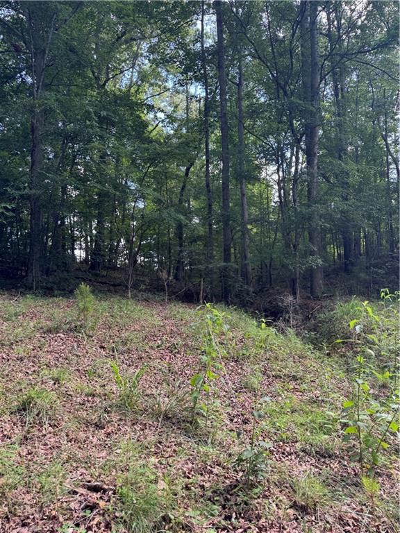 16653 Highway 36 Covington, GA 30014 - Photo 44 of 54 a backyard of a house with lots of green space