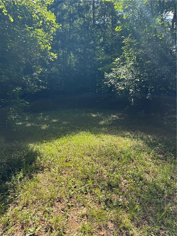 16653 Highway 36 Covington, GA 30014 - Photo 45 of 54 a view of a yard