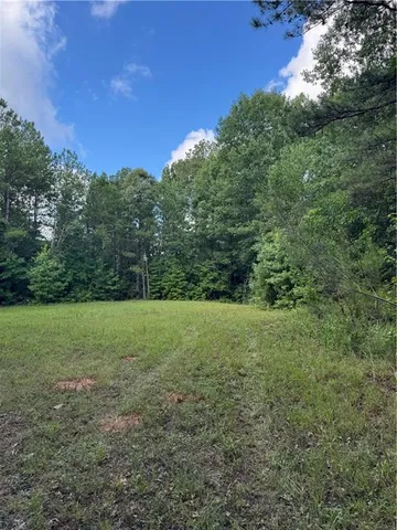 a view of a forest that has large trees