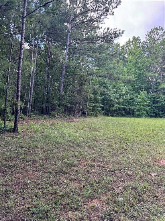 16653 Highway 36 Covington, GA 30014 - Photo 47 of 54 a view of a field with trees in the background
