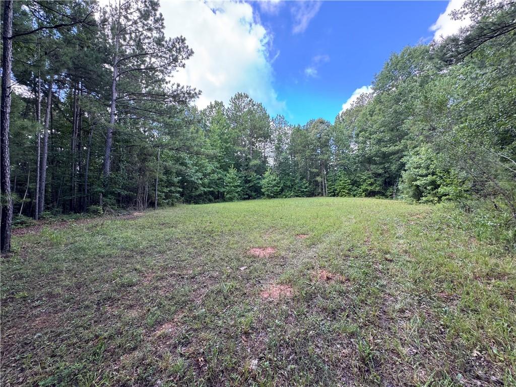 16653 Highway 36 Covington, GA 30014 - Photo 48 of 54 a view of a field with trees in the background