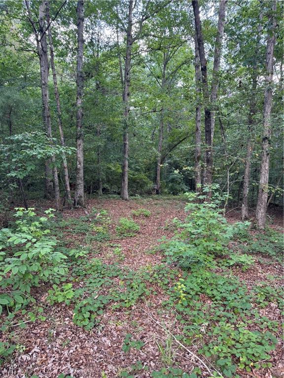 16653 Highway 36 Covington, GA 30014 - Photo 49 of 54 a view of outdoor space and green space
