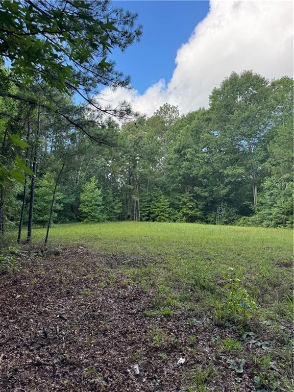 16653 Highway 36 Covington, GA 30014 - Photo 51 of 54 a view of outdoor space and yard
