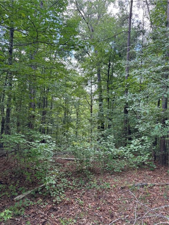 16653 Highway 36 Covington, GA 30014 - Photo 52 of 54 a view of a forest filled with trees