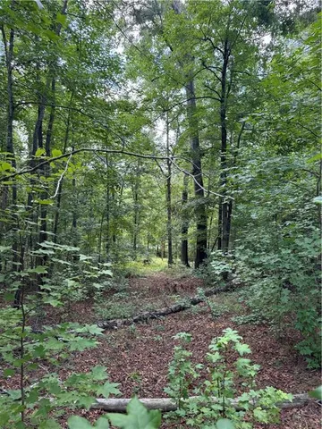 $300,000 | 16653 Highway 36, Covington, GA 30014