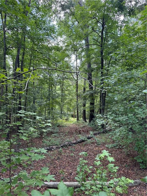 16653 Highway 36 Covington, GA 30014 - Photo 53 of 54 a view of outdoor space and green space