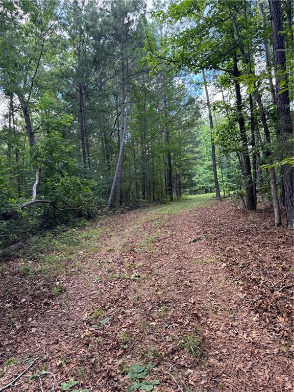 16653 Highway 36 Covington, GA 30014 - Photo 54 of 54 a view of a forest with trees in the background