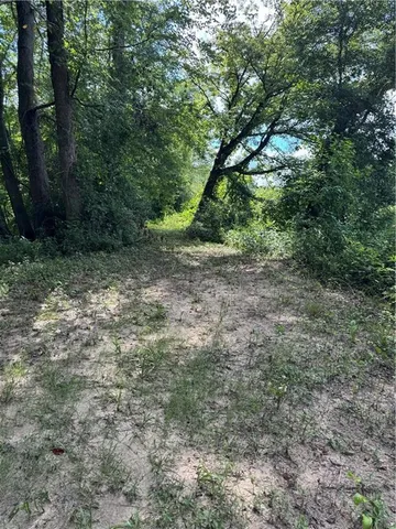a view of a lake with lots of trees