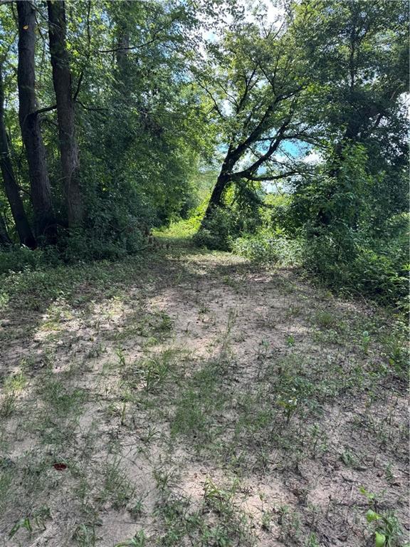 16653 Highway 36 Covington, GA 30014 - Photo 6 of 54 a view of a yard with a tree