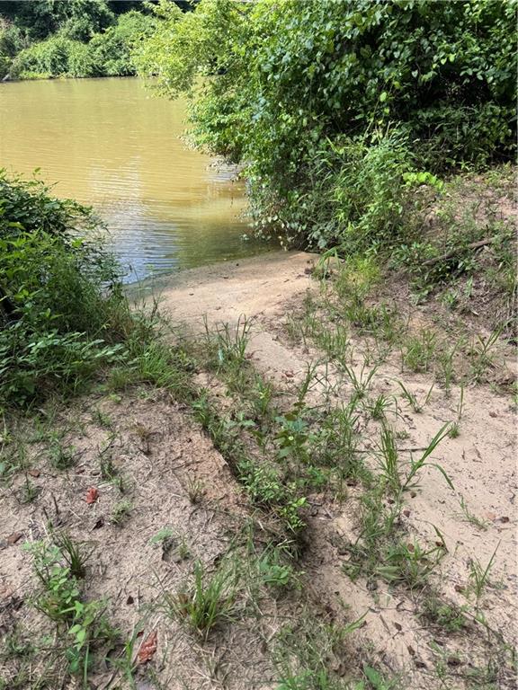 16653 Highway 36 Covington, GA 30014 - Photo 7 of 54 a view of a lake with lots of trees