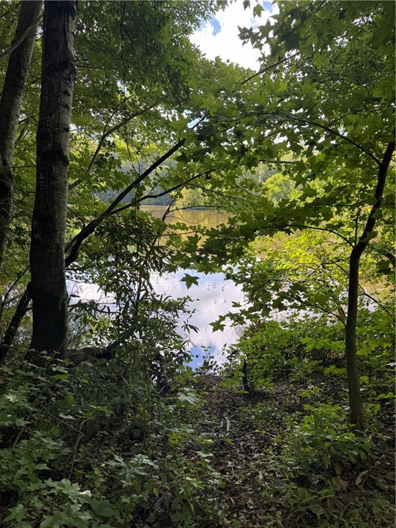 16653 Highway 36 Covington, GA 30014 - Photo 8 of 54 a view of a tree in a yard