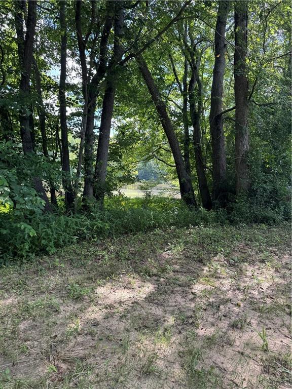 16653 Highway 36 Covington, GA 30014 - Photo 9 of 54 a view of a forest filled with trees