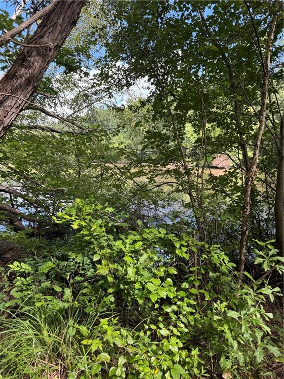 16653 Highway 36 Covington, GA 30014 - Photo 10 of 54 a view of a tree