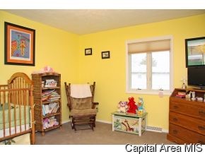 28 Rainbow Road Springfield, IL 62712 - Photo 9 of 12