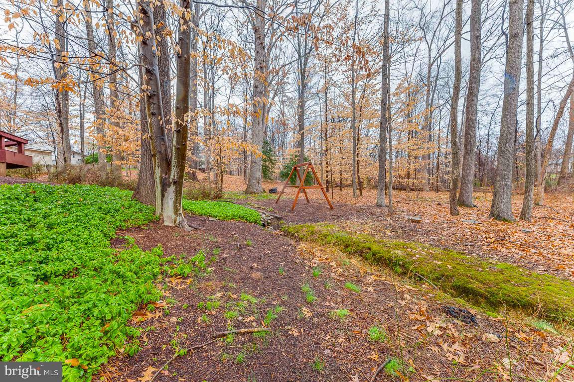 9226 Rockefeller Lane Springfield, VA 22153 - Photo 42 of 58