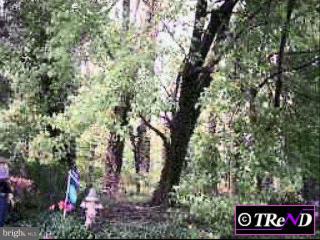4 Rosedale Avenue Strafford, PA 19087 - Photo 1 of 1