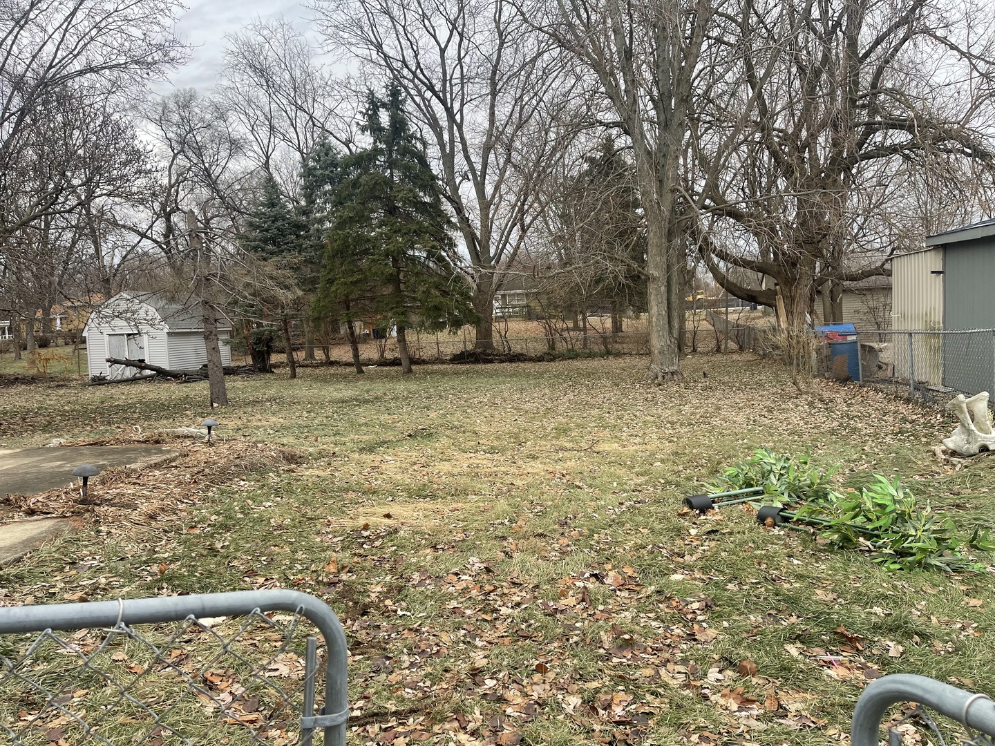 5S345 North Naperville Wheaton Road Naperville, IL 60563 - Photo 5 of 8 a backyard of a house with large trees