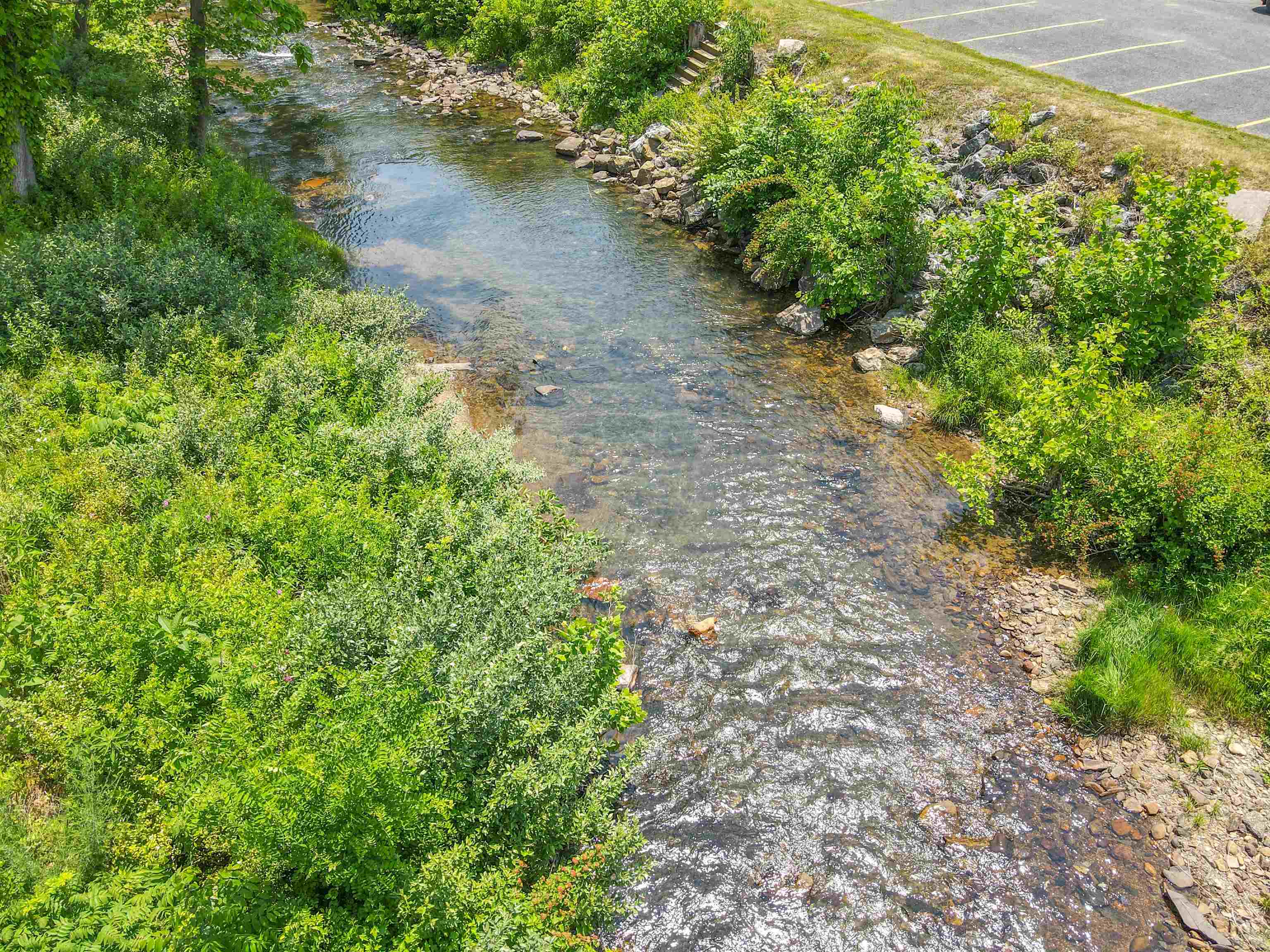 132 Main Street Goshen, VA 24439 - Photo 24 of 33 a view of a pathway both side of yard