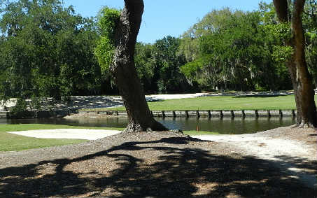 20 Sea Marsh Road Fernandina Beach, FL 32034 - Photo 11 of 12 a view of a park with a large trees