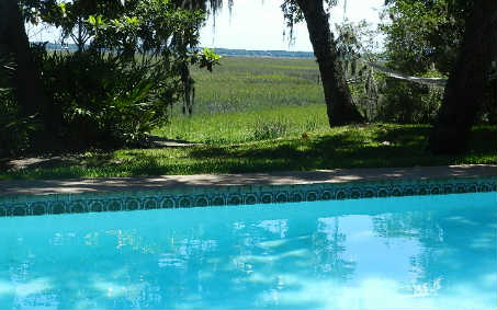 20 Sea Marsh Road Fernandina Beach, FL 32034 - Photo 8 of 12 a view of a garden with a tree