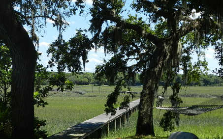20 Sea Marsh Road Fernandina Beach, FL 32034 - Photo 10 of 12 a view of a grassy area