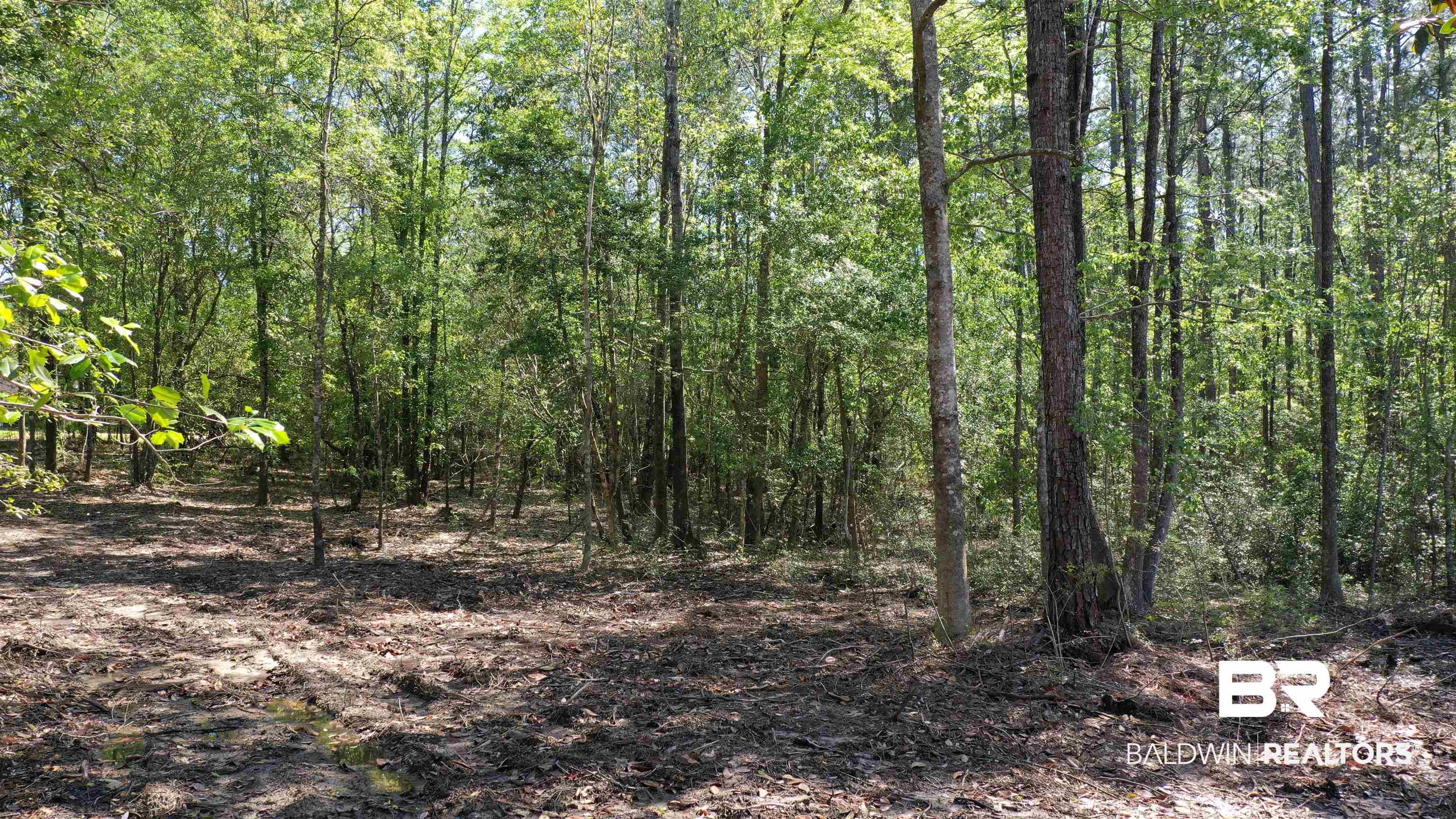 3 Brookwood Road Atmore, AL 36502 - Photo 11 of 15