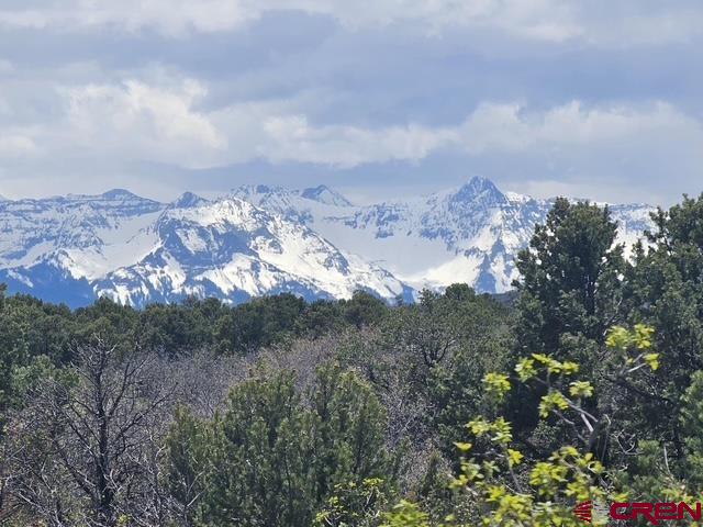 7 Government Springs Road Montrose, CO 81403 - Photo 1 of 5 Gallery Image 1
