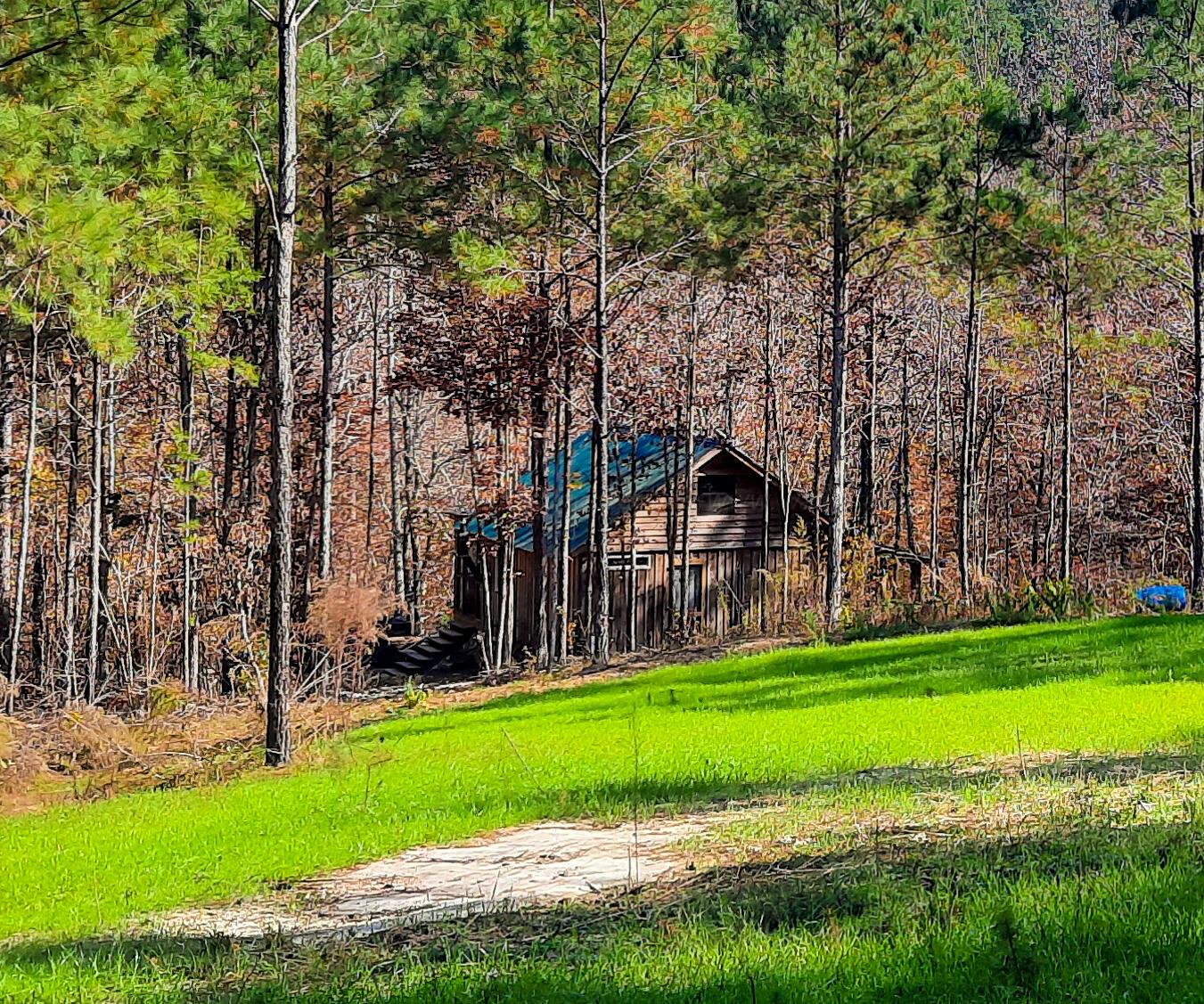 3065 Co Road Double Springs, AL 35553 - Photo 1 of 11 Bankhead2020Fall-4