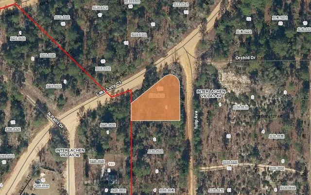 a bird view of a city