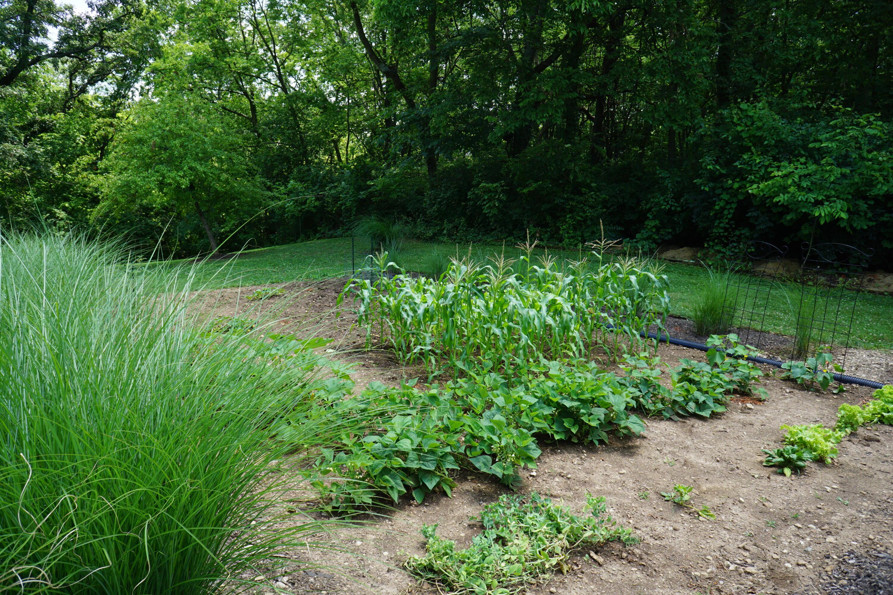 2624 Kunz Road Galloway, OH 43119 - Photo 83 of 96 Gallery Image 83
