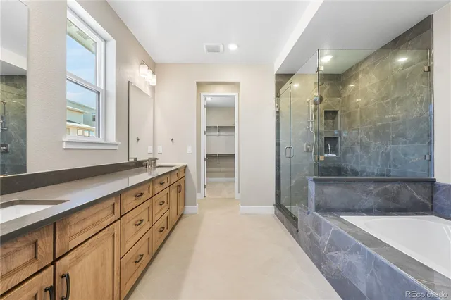 a bathroom with a tub a sink and a shower