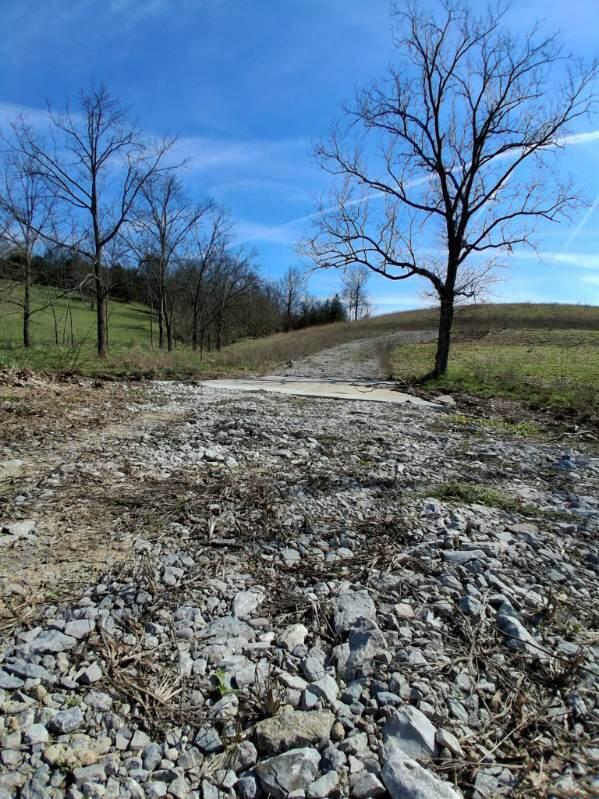 105 Scaffold Lick Creek Road Berry, KY 41003 - Photo 3 of 8