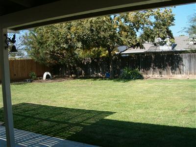 537 Davis Street Exeter, CA 93221 - Photo 5 of 5 Gallery Image 5