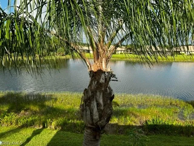 a view of a lake from a yard