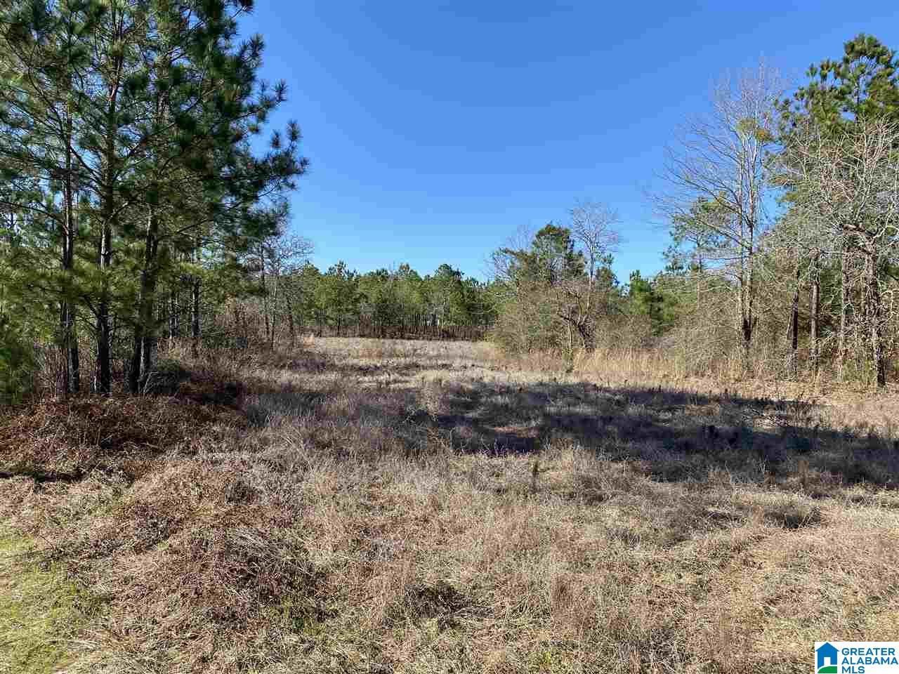 0 Mcgee Road, Unit 4 Prattville, AL 36067 - Photo 5 of 15