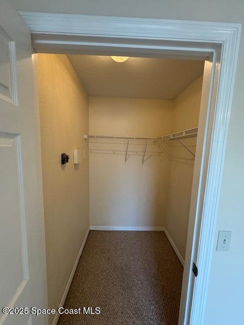 3551 D D'Avinci Way, Unit 1067 Melbourne, FL 32901 - Photo 13 of 27 Main Bdrm walk-in closet