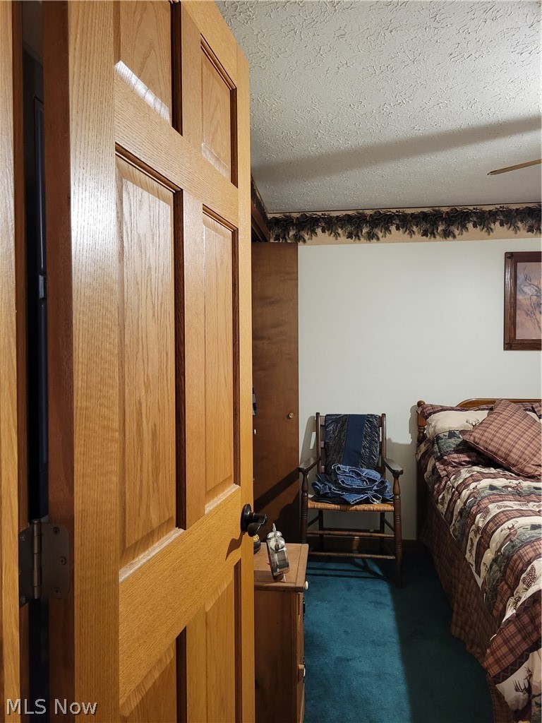 38126 Lower Clearfork Road Scio, OH 43988 - Photo 24 of 35