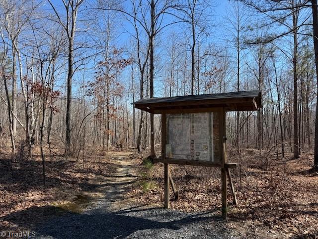 0 Thayer Road Troy, NC 27371 - Photo 4 of 5