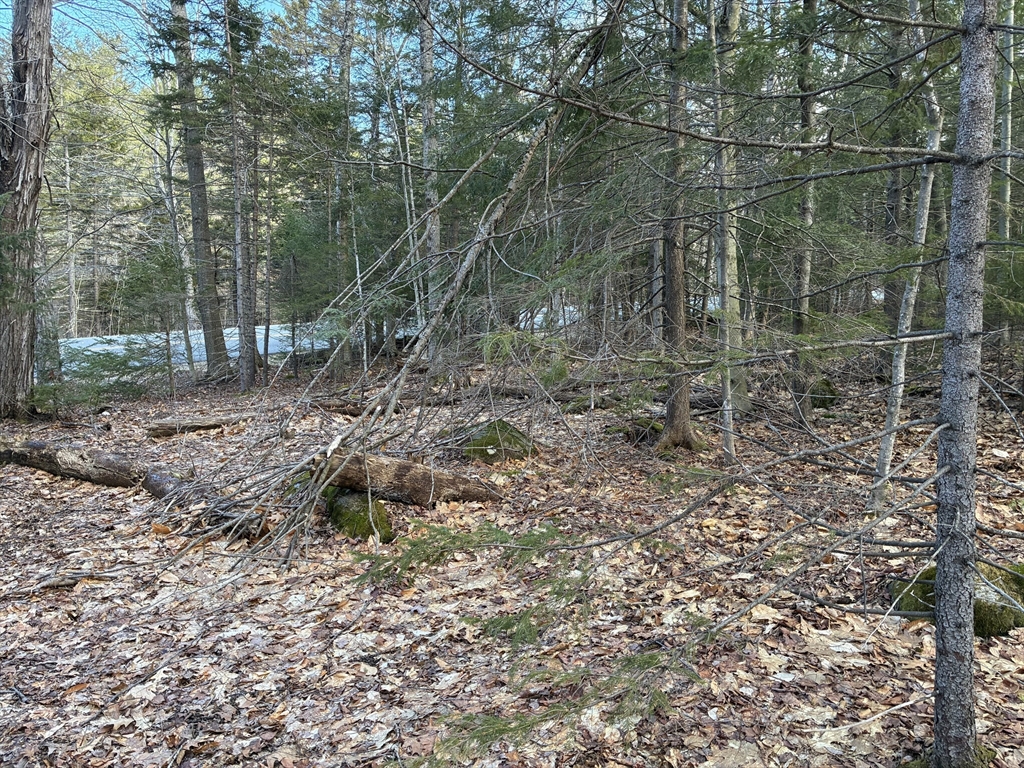 5 Leshures Road Rowe, MA 01367 - Photo 8 of 12